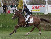 Clayton Mr Darcy TosTour 2013- S5 7910 : Arezzo Equestrian Centre, Clayton Joseph, Mr Darcy, Toscana Tour 2013, foto di Stefano Secchi ©